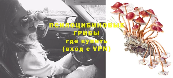 ПСИЛОЦИБИНОВЫЕ ГРИБЫ Михайловка