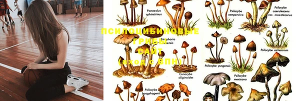 COCAINE Михайловск