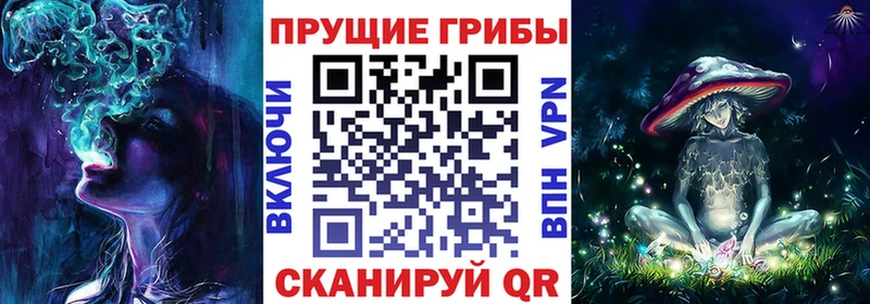 hydra вход  Рассказово  Псилоцибиновые грибы GOLDEN TEACHER 